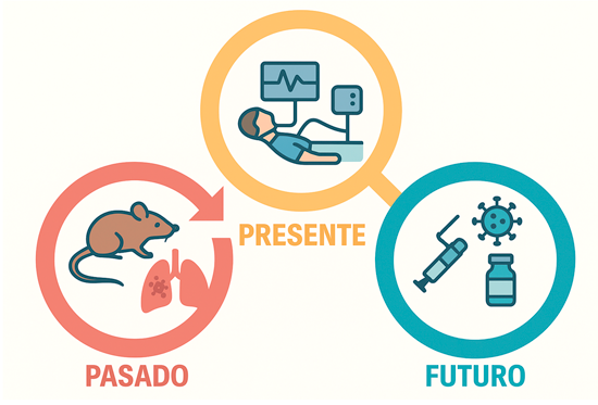 Síndrome cardiopulmonar 